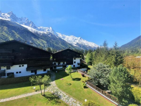 Chamonix superbe appartement vue Mont Blanc